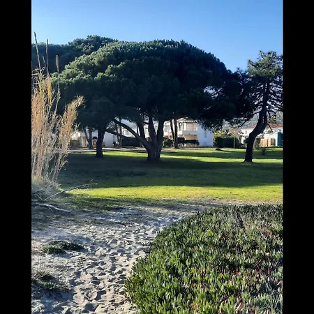 Location Les Pieds Dans L'eau, Aqua Linda A Poggio-mezzana Apartment *