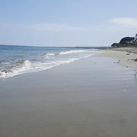 Location Les Pieds Dans L'eau, Aqua Linda A Poggio-mezzana *