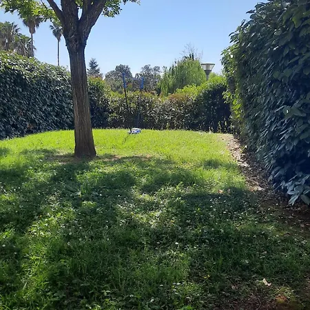 Location Les Pieds Dans L'eau, Aqua Linda A Poggio-mezzana Lejlighed