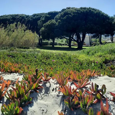 Location Les Pieds Dans L'eau, Aqua Linda A Poggio-mezzana