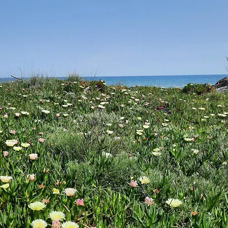 Lejlighed Location Les Pieds Dans L'eau, Aqua Linda A Poggio-mezzana Poggio Mezzana