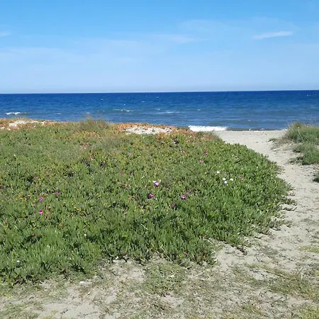 Lejlighed Location Les Pieds Dans L'eau, Aqua Linda A Poggio-mezzana *