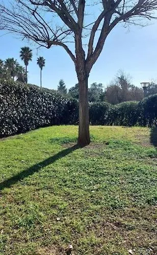 Location Les Pieds Dans L'eau, Aqua Linda A Poggio-mezzana Lejlighed