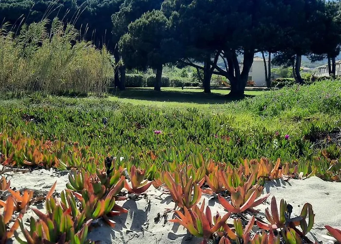 Location Les Pieds Dans L'eau, Aqua Linda A Poggio-mezzana