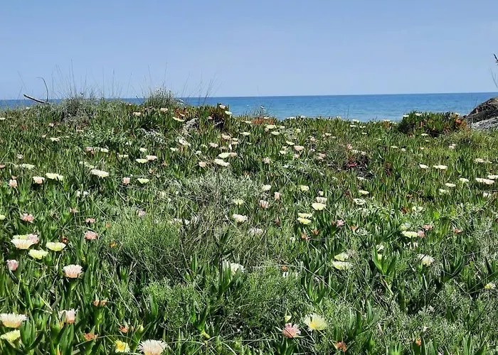 公寓 Location Les Pieds Dans L'eau, Aqua Linda A Poggio-mezzana 波吉奥· 梅扎纳