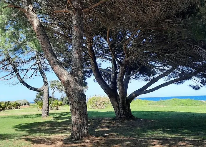 Location Les Pieds Dans L'eau, Aqua Linda A Poggio-mezzana