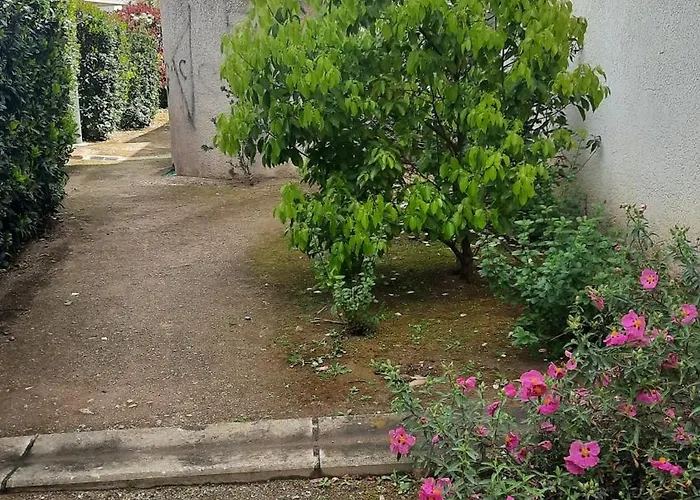 Location Les Pieds Dans L'eau, Aqua Linda A Poggio-mezzana
